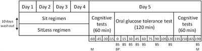 Benefits of Substituting Sitting with Standing and Walking in Free-Living Conditions for Cardiometabolic Risk Markers, Cognition and Mood in Overweight Adults